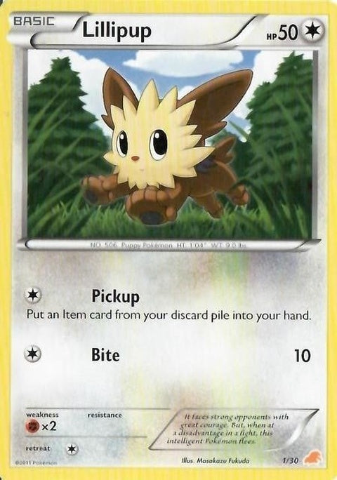 1-lillipup