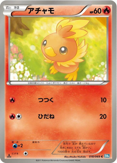 10-torchic