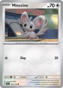 125-minccino