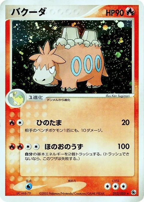 13-camerupt