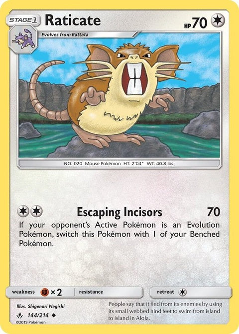 144-raticate