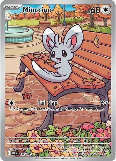 152-minccino