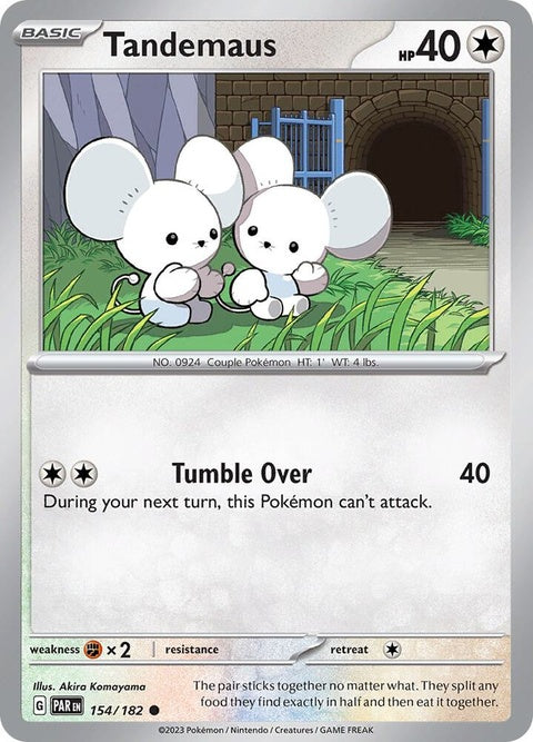 154-tandemaus