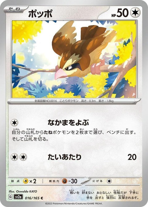 16-pidgey