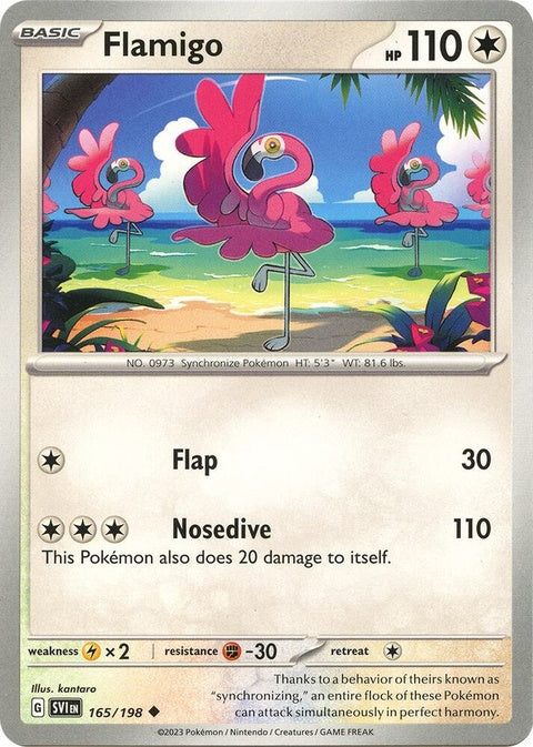165-flamigo