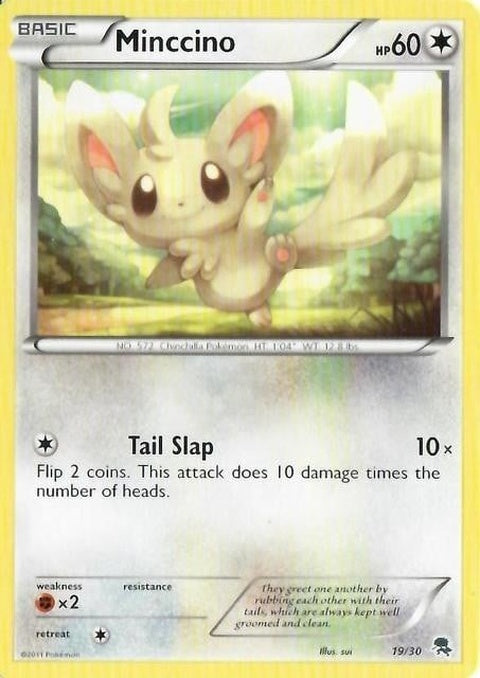 19-minccino
