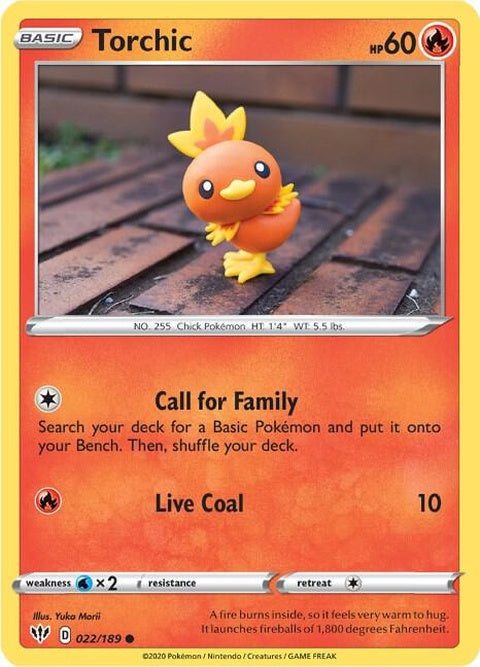 22-torchic