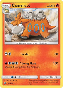 24-camerupt