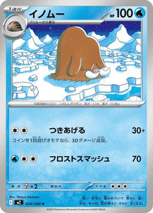 24-piloswine