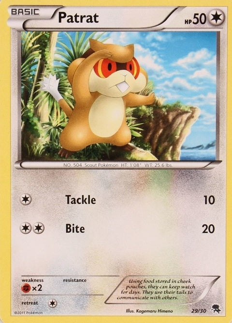 29-patrat