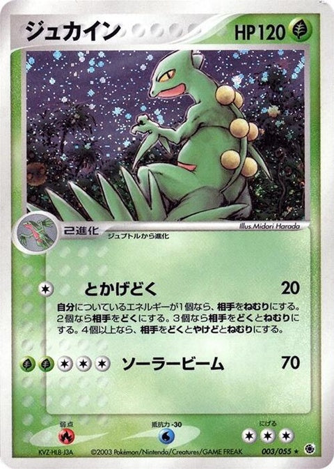 3-sceptile