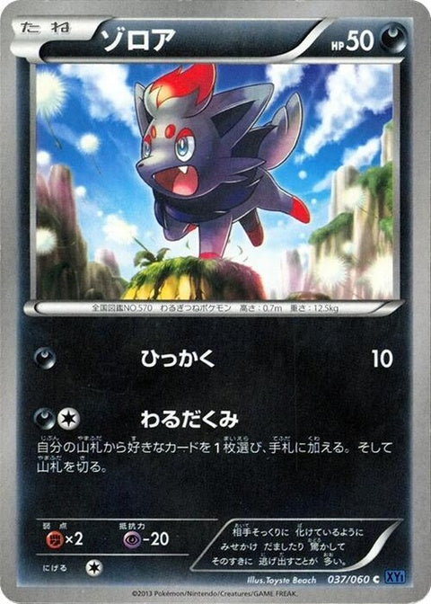 37-zorua