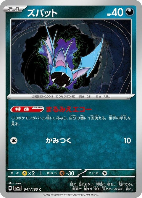 41-zubat