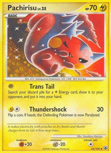 43-pachirisu
