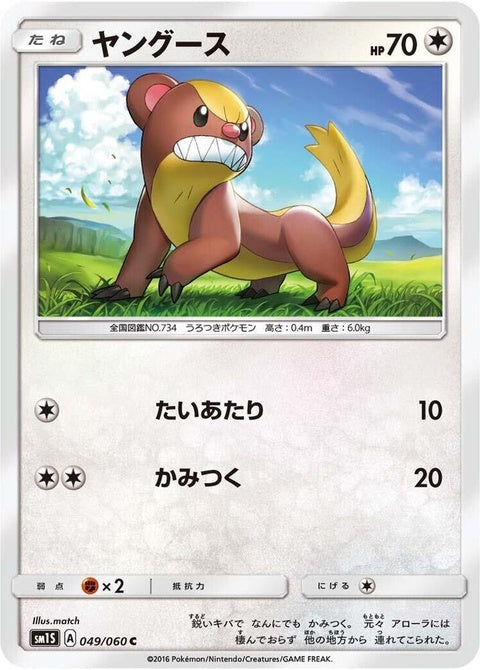 49-yungoos