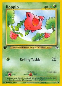 55-hoppip