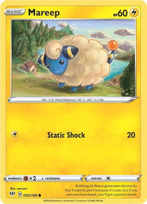 55-mareep