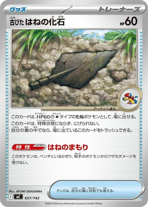 657-antiqueplumefossil