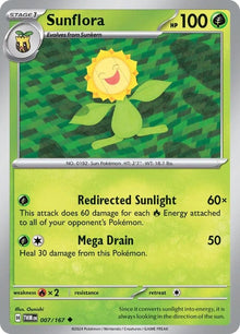 7-sunflora