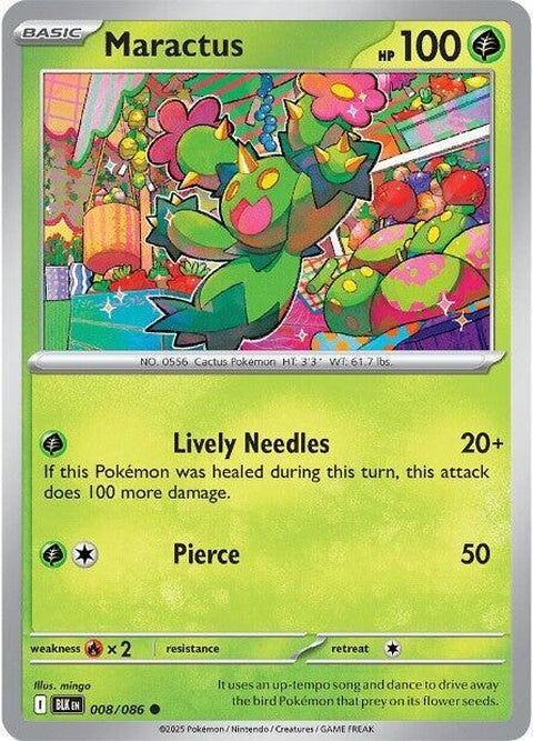 8-maractus