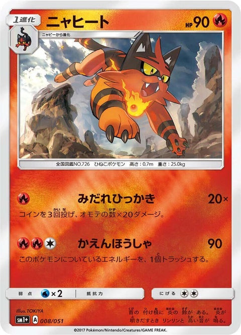 8-torracat