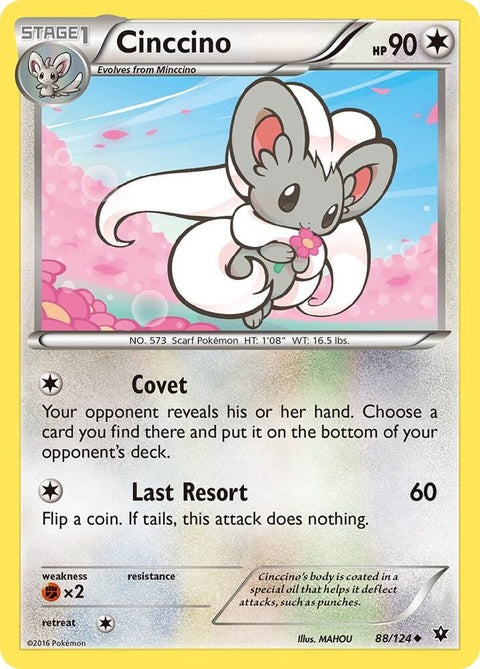 88-cinccino