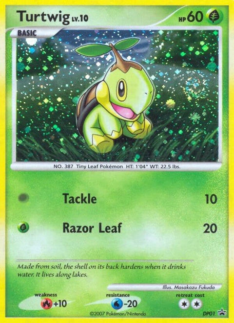 dp01-turtwig